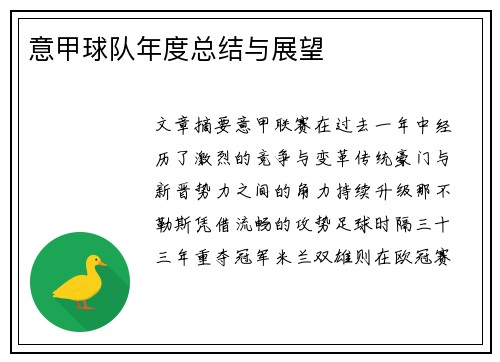 意甲球队年度总结与展望